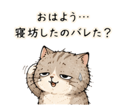 842853344