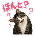 842853400