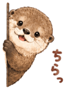 842853432