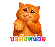 842854722