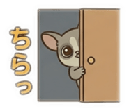 842855112