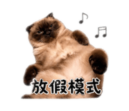 842856197