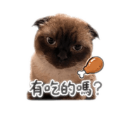 842856206