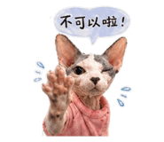 842856691