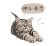 842856747