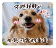 842856995