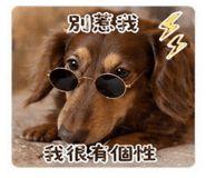 842856998