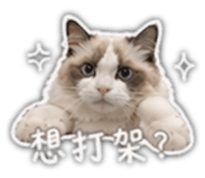 842857082
