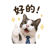 842857289