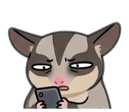 842857480
