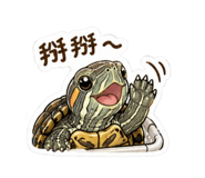 842857694