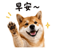 842858529