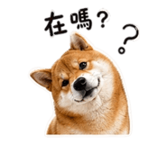 842858530