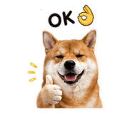 842858531