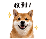 842858532