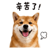 842858534