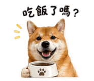 842858535
