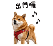 842858537