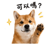 842858540