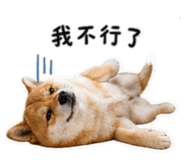 842858544