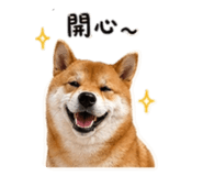 842858550