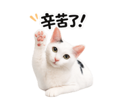 842859438