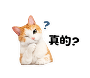 842859439