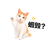 842859440