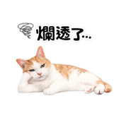 842859454