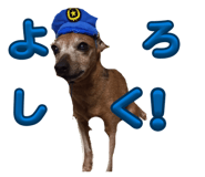 842860156