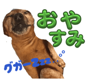 842860158