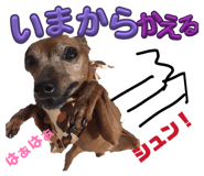 842860160