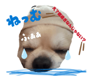842860168