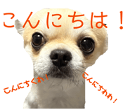 842860170