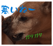 842860191