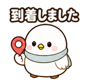 842860300