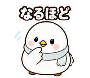 842860323