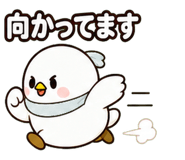 842860331