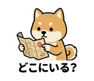 842860560