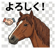 842861090