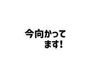 842861833