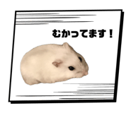 842862005