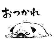 842862226