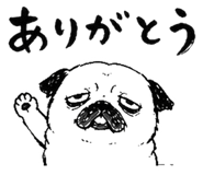842862228
