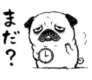 842862237