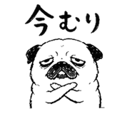 842862241