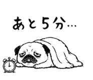 842862242
