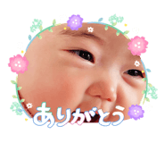 842862376
