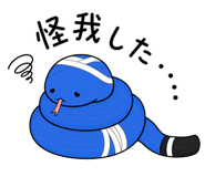 842862428