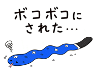 842862429
